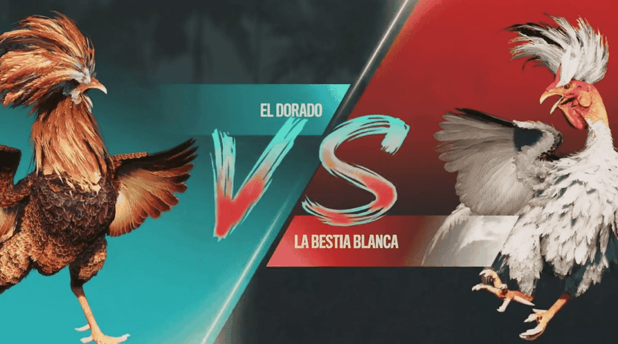 pk55 Entrar Online Slot